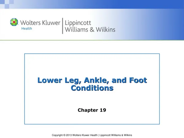 Lower Leg, Ankle, and Foot Conditions