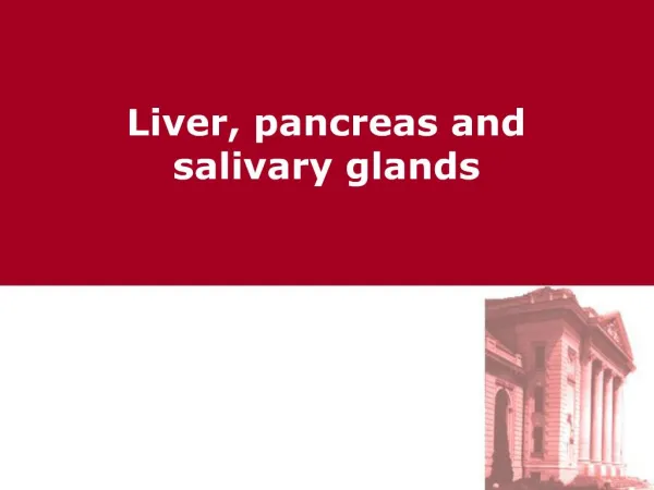 Liver, pancreas and salivary glands