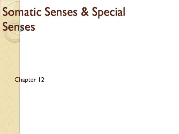 Somatic Senses Special Senses