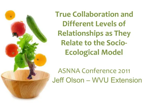 True Collaboration and Different Levels of Relationships as They Relate to the Socio-Ecological Model ASNNA Conference