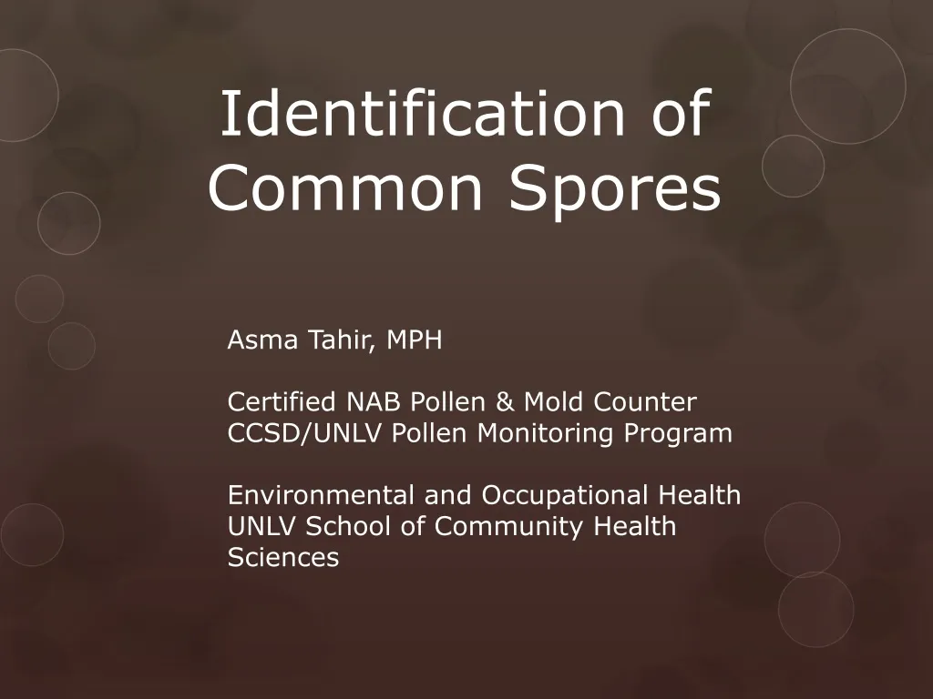 identification of common spores