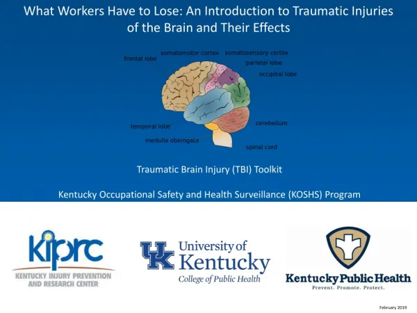 What Workers Have to Lose: An Introduction to Traumatic Injuries of the Brain and Their Effects