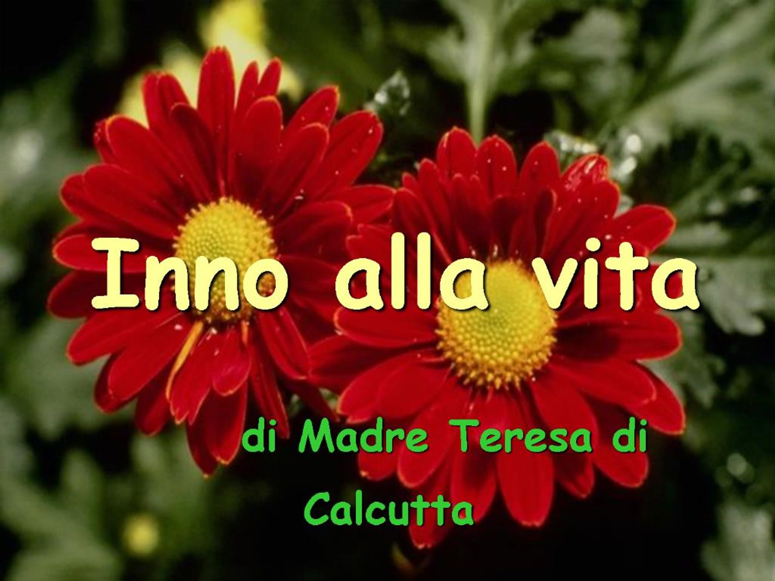 Madre Teresa Inno Alla Vita PPT - Inno alla vita di Madre Teresa di Calcutta PowerPoint
