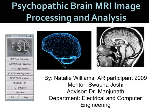 Psychopathic Brain MRI Image Processing and Analysis