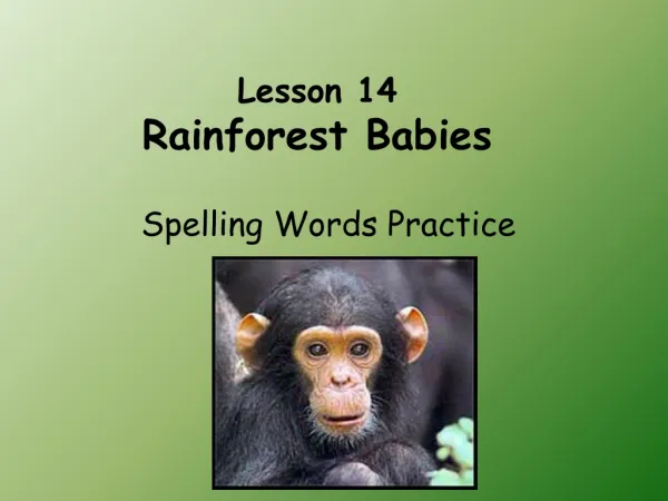 Lesson 14 Rainforest Babies