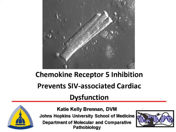 Chemokine Receptor 5 Inhibition Prevents SIV-associated Cardiac Dysfunction