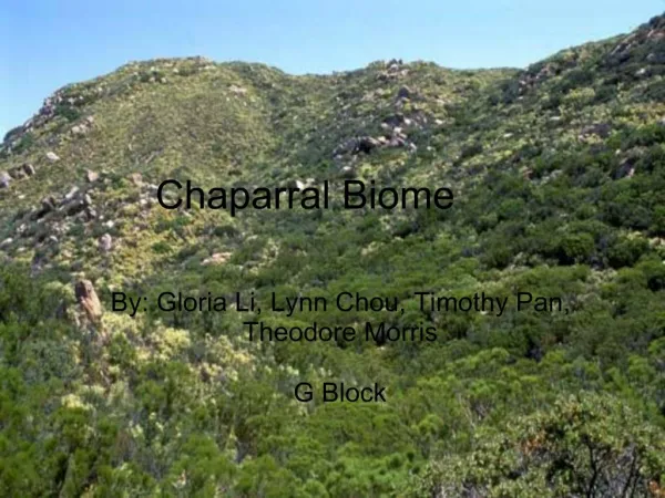 Chaparral Biome
