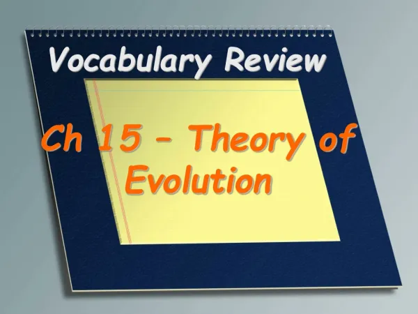 Vocabulary Review