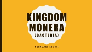 Kingdom Monera (Bacteria) - slide 1