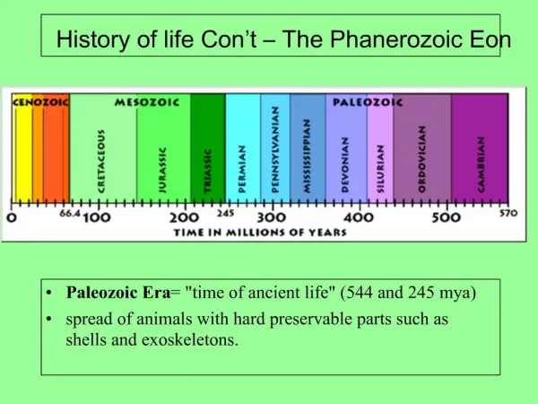 History of life Con t The Phanerozoic Eon