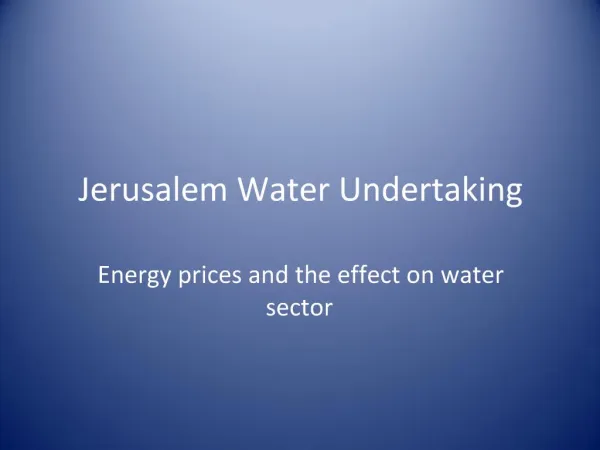 Jerusalem Water Undertaking