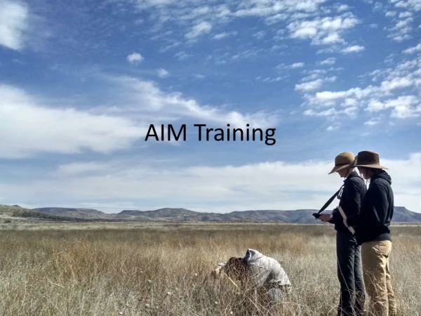 AIM Training