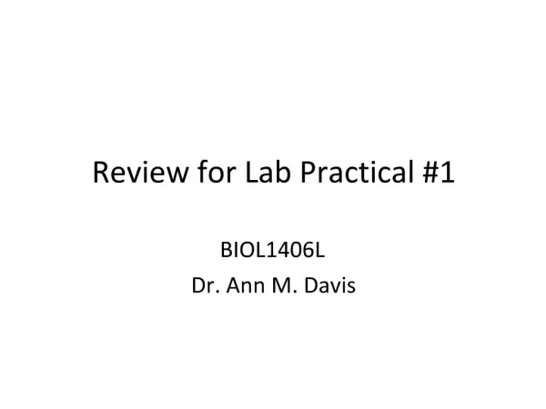 Review for Lab Practical 1