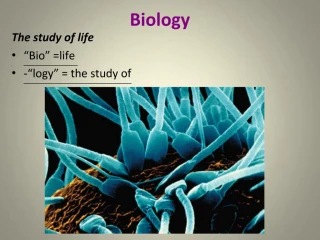 Biology - slide 1