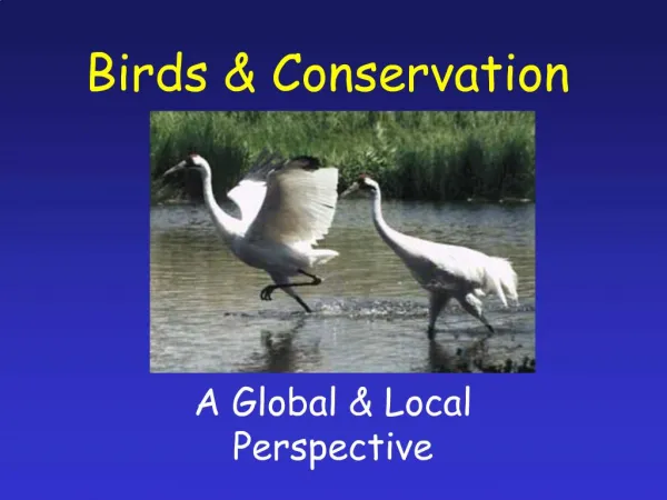 Birds Conservation