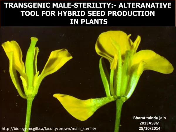 TRANSGENIC MALE-STERILITY:- ALTERANATIVE TOOL FOR HYBRID SEED PRODUCTION IN PLANTS