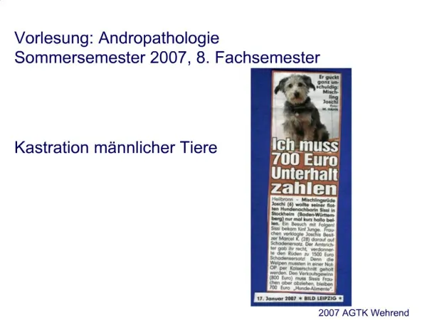 Vorlesung: Andropathologie Sommersemester 2007, 8. Fachsemester Kastration m nnlicher Tiere