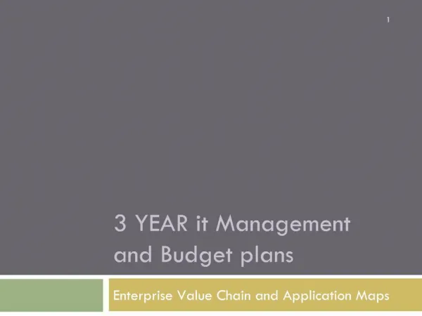 3 YEAR it Management and Budget plans