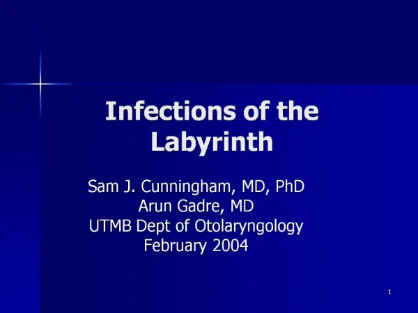 Infections of the Labyrinth