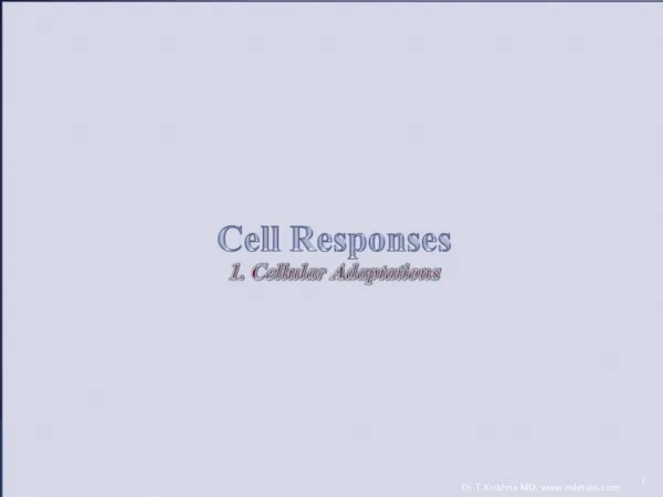 Cell Responses 1. Cellular Adaptations