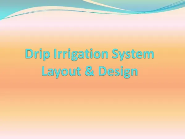 Drip Irrigation System Layout Design