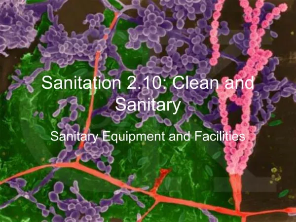 Sanitation 2.10: Clean and Sanitary