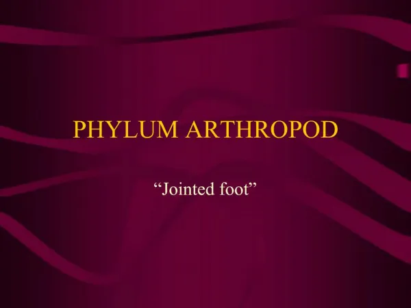 PHYLUM ARTHROPOD