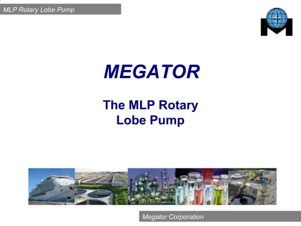 MLP Rotary Lobe Pump