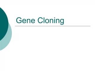 Gene Cloning - slide 1