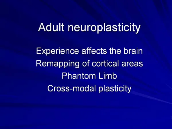 Adult neuroplasticity