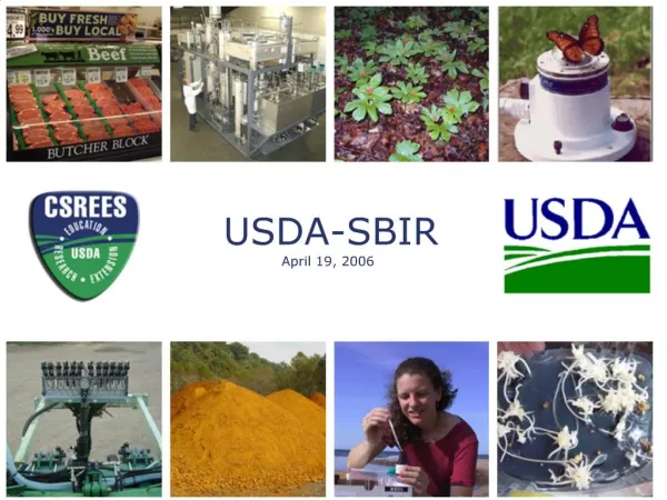 USDA-SBIR
