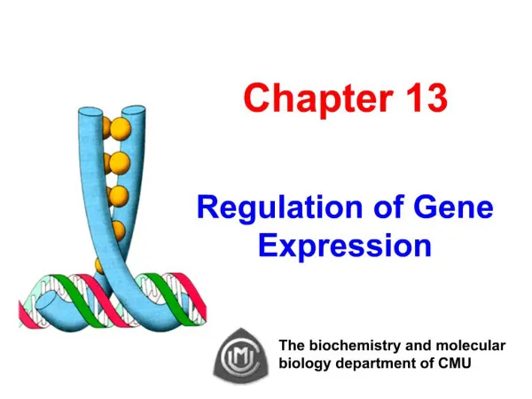 Chapter 13 Regulation of Gene Expression