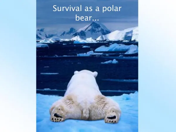 Survival as a polar bear...