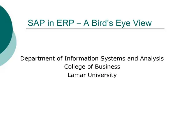 SAP in ERP A Bird s Eye View