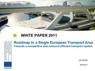 WHITE PAPER 2011 - slide 1