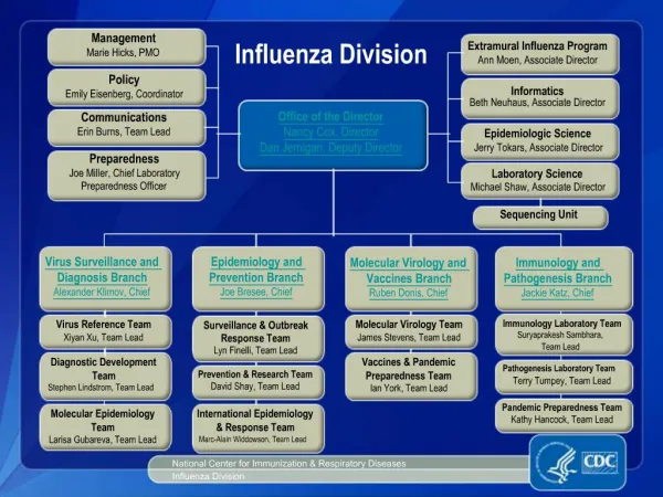 National Center for Immunization Respiratory Diseases Influenza Division