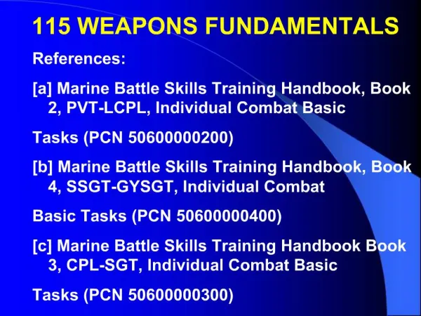 115 WEAPONS FUNDAMENTALS
