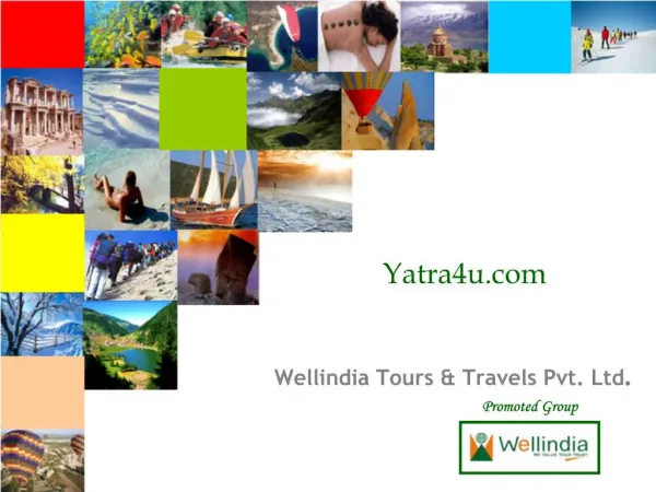 Wellindia Tours Travels Pvt. Ltd.