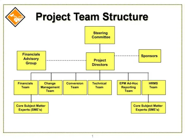 Project Team Structure