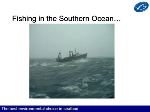 Fishing in the Southern Ocean