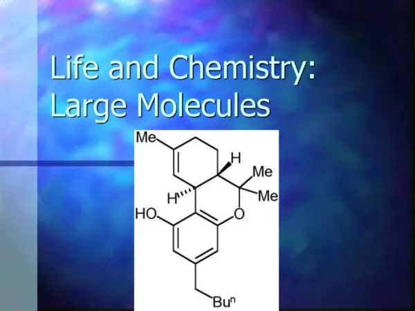 Life and Chemistry: Large Molecules