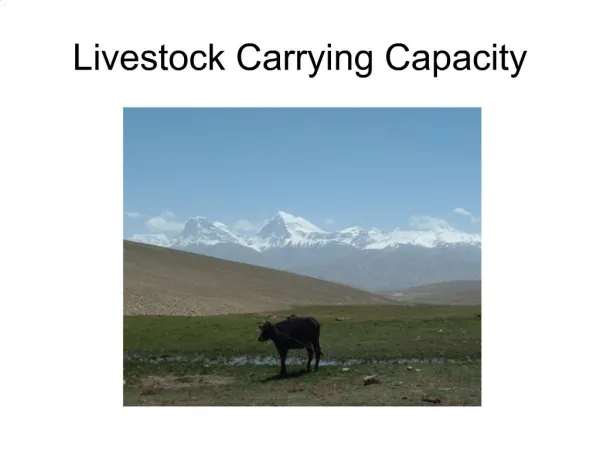 Livestock Carrying Capacity