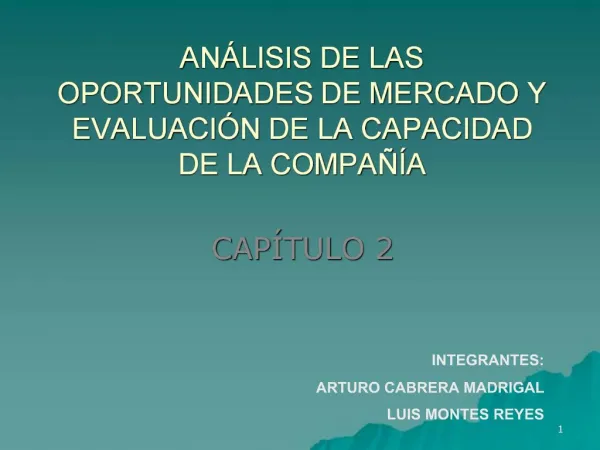 AN LISIS DE LAS OPORTUNIDADES DE MERCADO Y EVALUACI N DE LA CAPACIDAD DE LA COMPA A