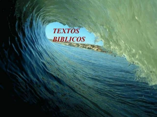 TEXTOS BIBLICOS - slide 1
