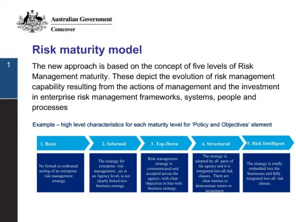 Risk maturity model