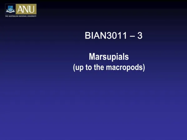 BIAN3011 3 Marsupials up to the macropods