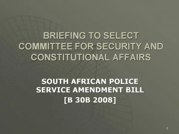 BRIEFING TO SELECT COMMITTEE FOR SECURITY AND CONSTITUTIONAL AFFAIRS