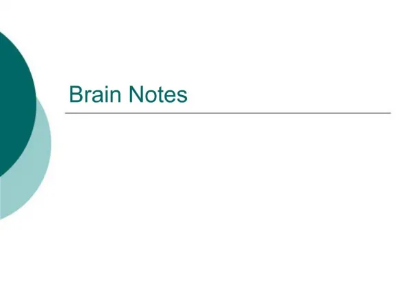 Brain Notes