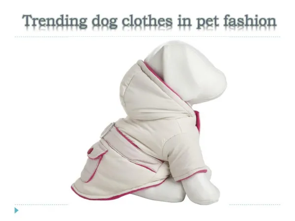 Trending dog clothes in pet fashion