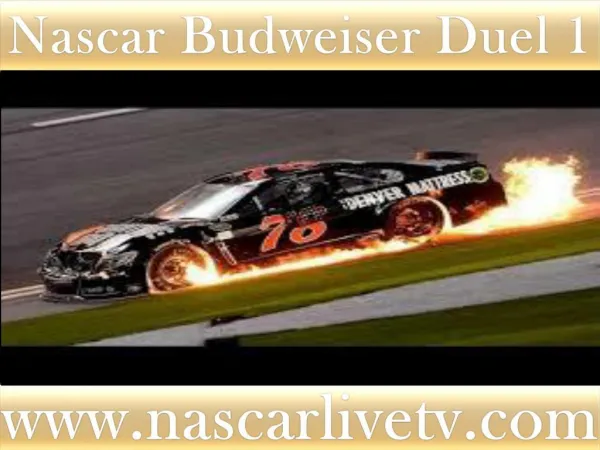 Watch Nascar Budweiser Duel 1 Race Live Streaming